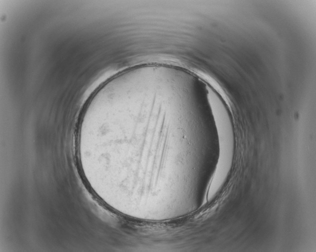 X0000086060999200704202056