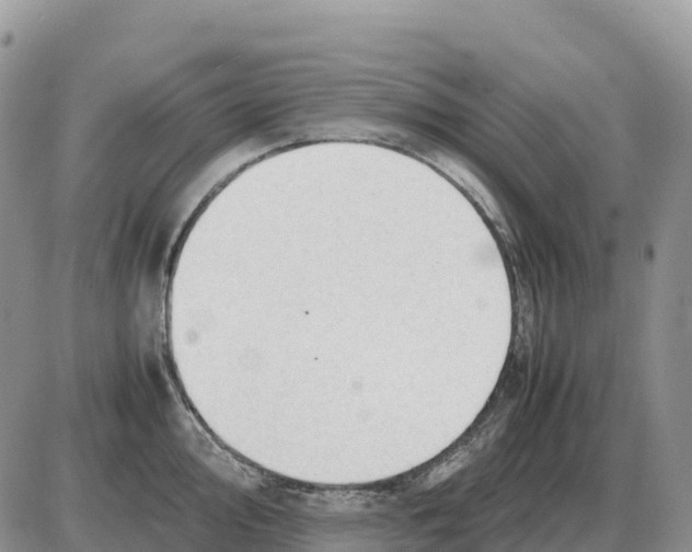 X0000086061000200704202056