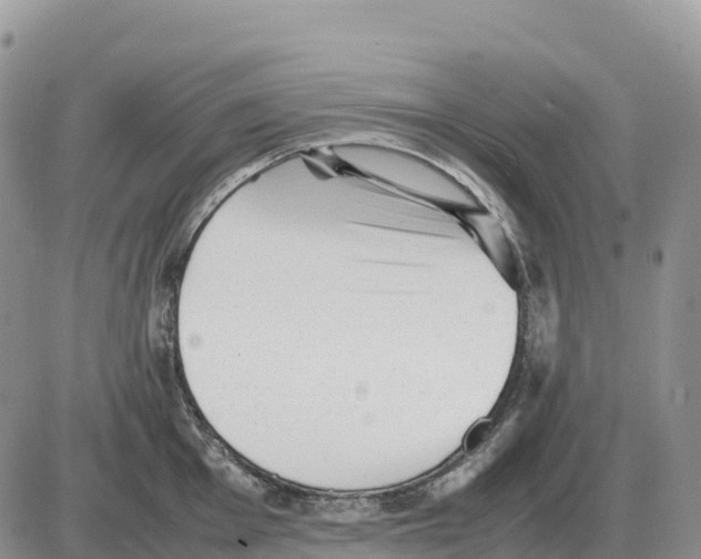 X0000086061001200704202056