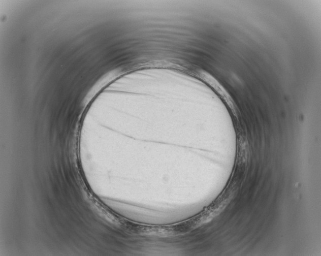 X0000086061002200704202056