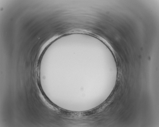 X0000086061003200704202056