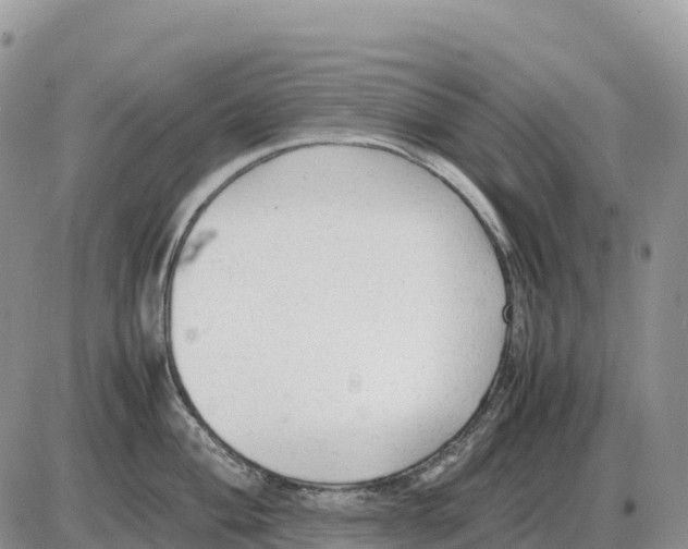 X0000086061004200704202056