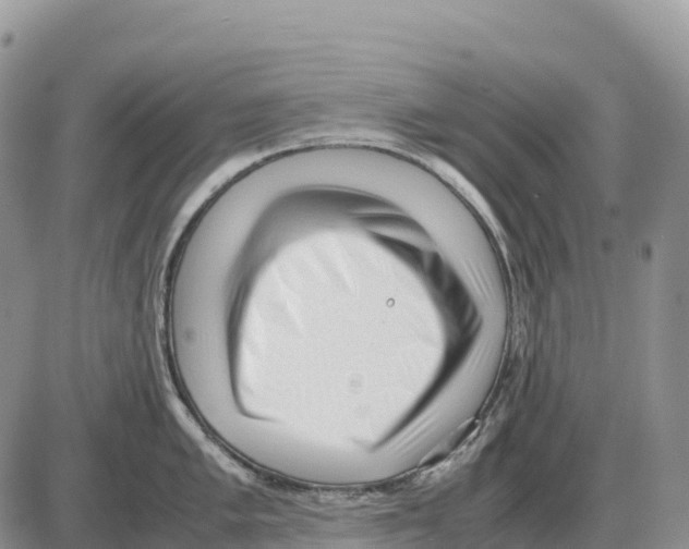 X0000086061005200704202056