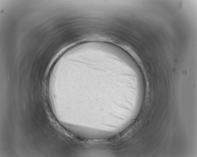 X0000086061008200704202056