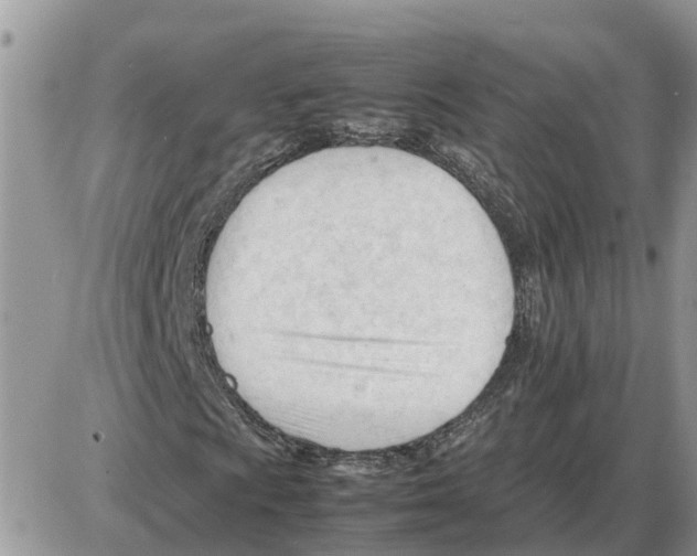 X0000086061009200704202055