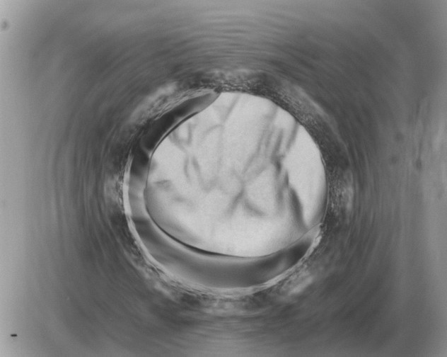 X0000086061010200704202055