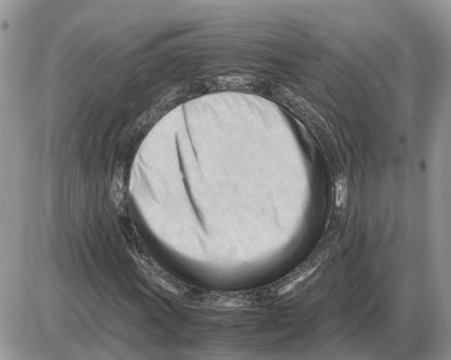 X0000086061011200704202055