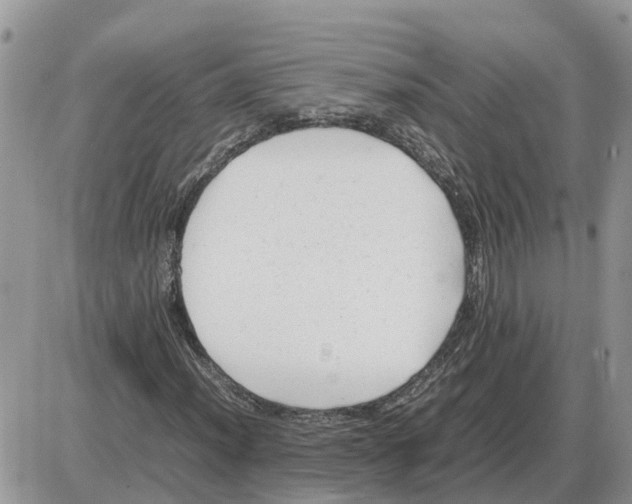 X0000086061012200704202055