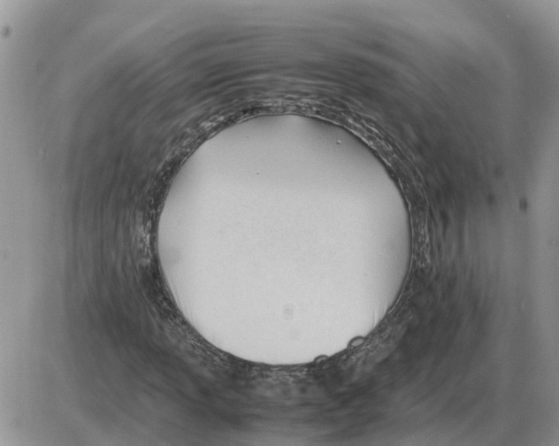 X0000086061013200704202055