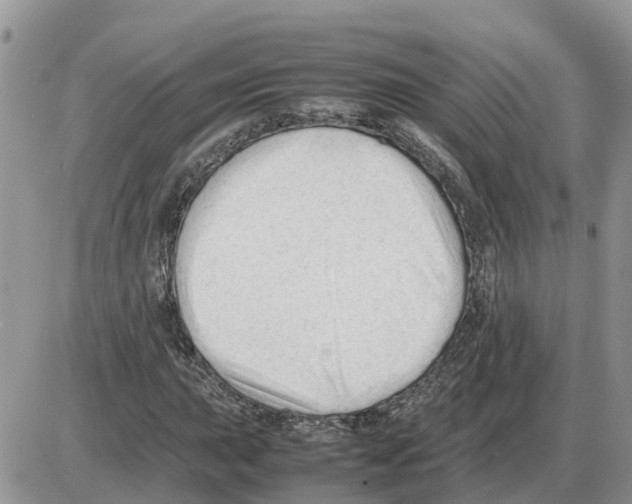 X0000086061015200704202055