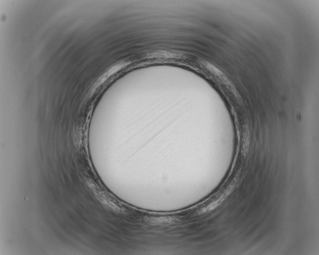 X0000086061017200704202055