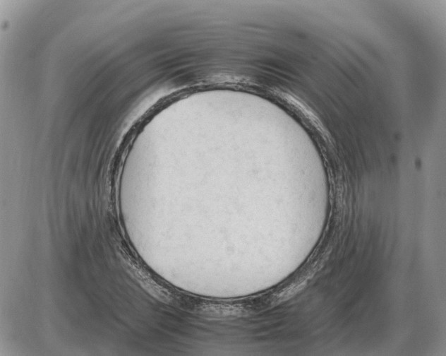 X0000086061023200704202055