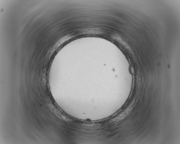 X0000086061025200704202055