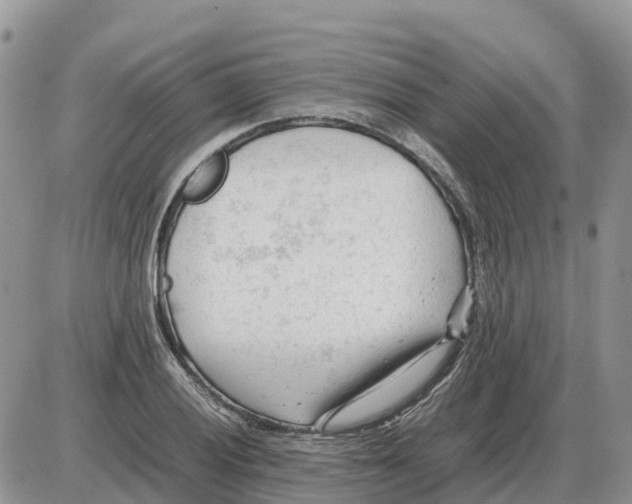 X0000086061028200704202056