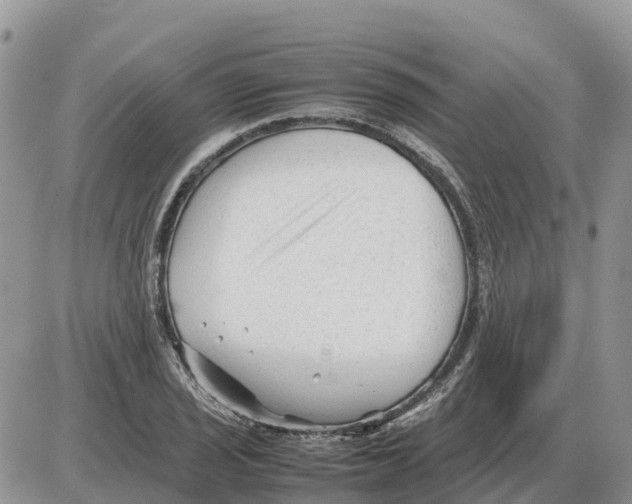 X0000086061029200704202056