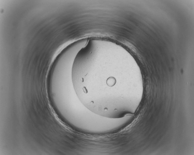 X0000086061030200704202056