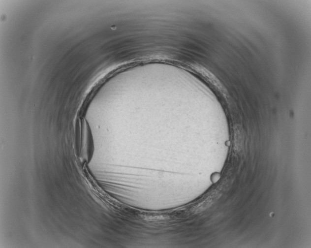 X0000086061031200704202056