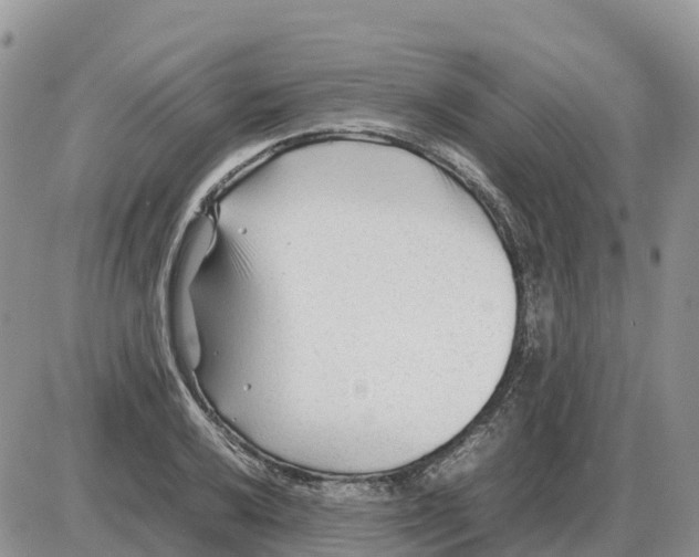 X0000086061032200704202056