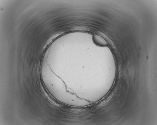 X0000086061033200704202056