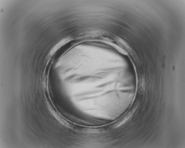 X0000086061034200704202056