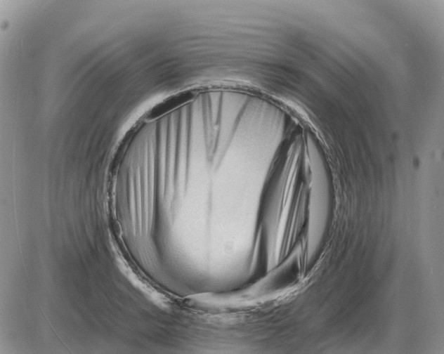 X0000086061038200704202056