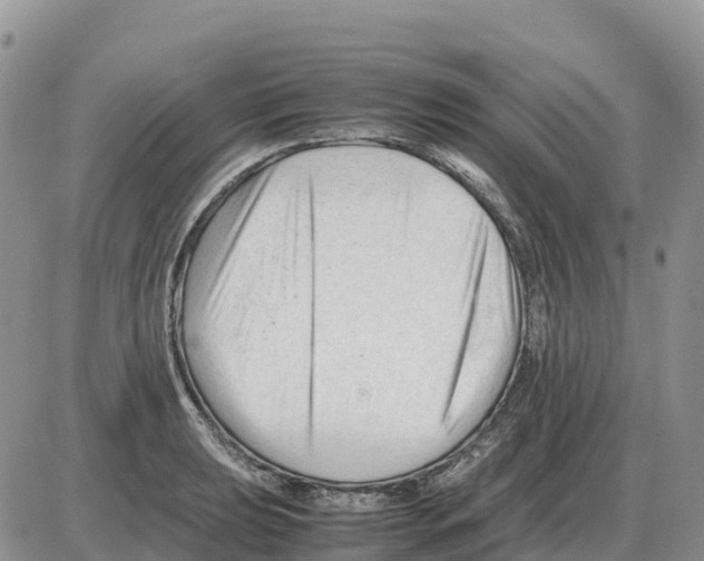 X0000086061039200704202056