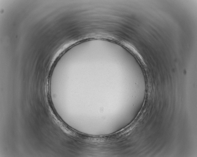 X0000086061040200704202056