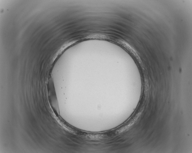 X0000086061041200704202056