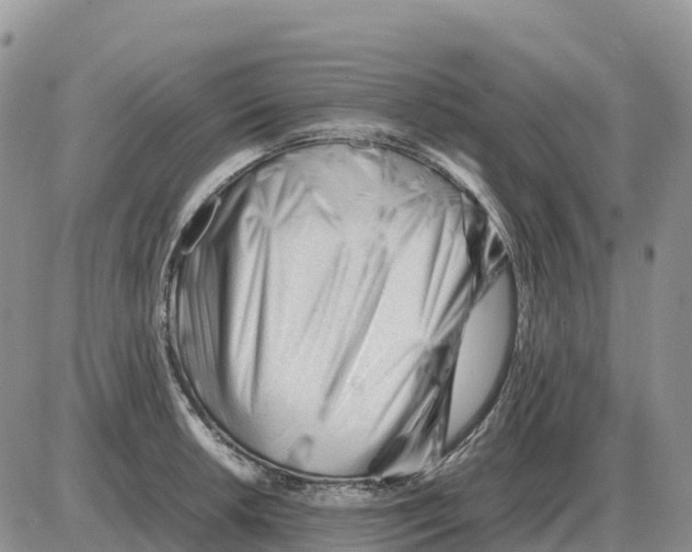 X0000086061042200704202056