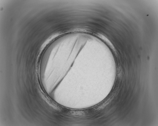 X0000086061043200704202056