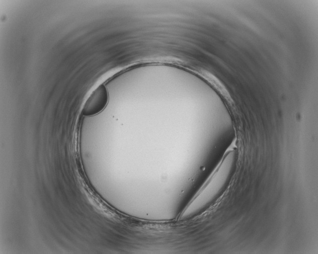 X0000086061044200704202056