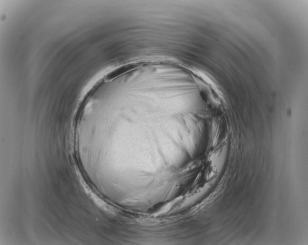 X0000086061046200704202056