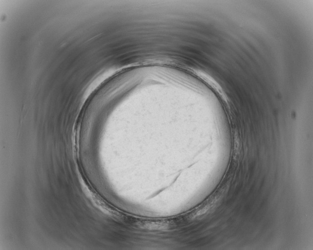 X0000086061047200704202056