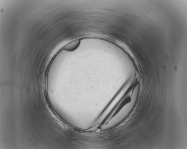 X0000086061048200704202056