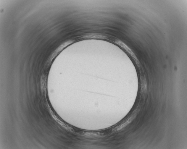 X0000086061049200704202056