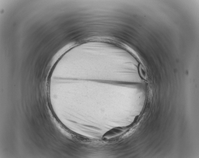 X0000086061050200704202056