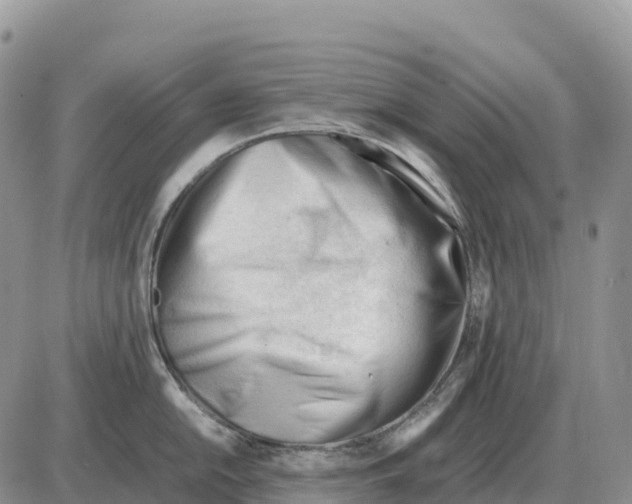 X0000086061054200704202056