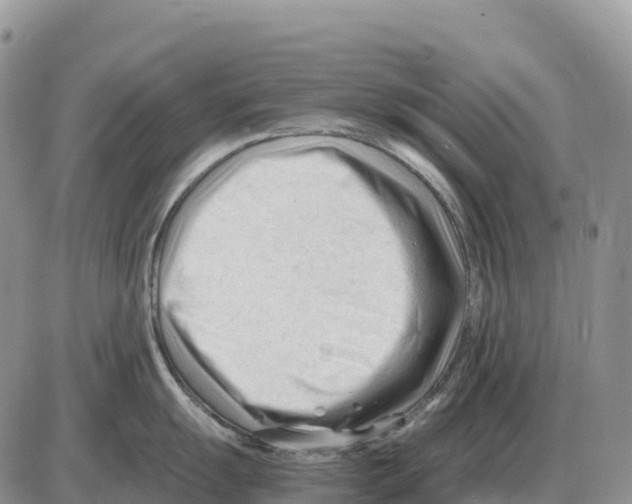 X0000086061055200704202056