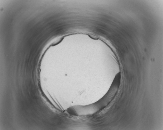 X0000086061056200704202056