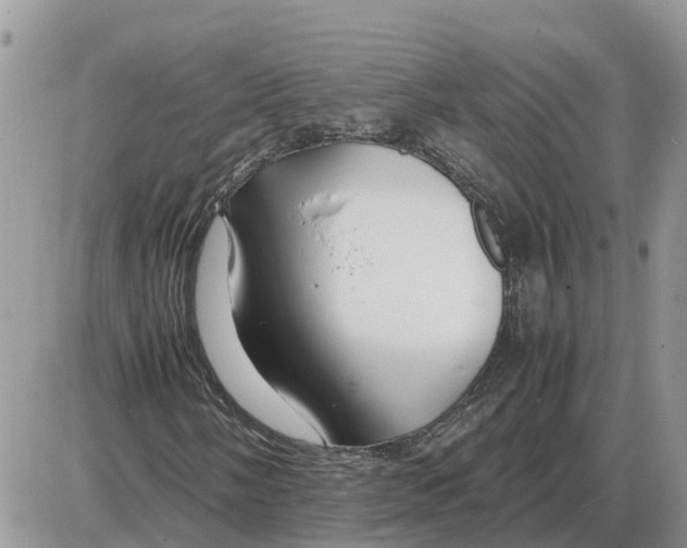 X0000086061058200704202055