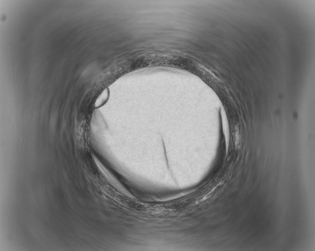 X0000086061059200704202055