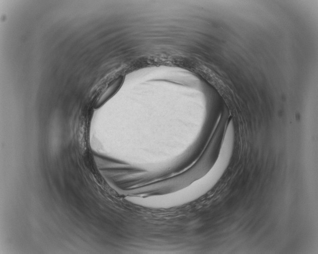 X0000086061060200704202055