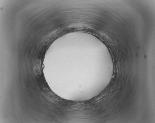 X0000086061062200704202055