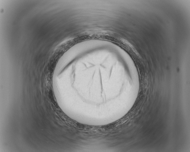 X0000086061063200704202055