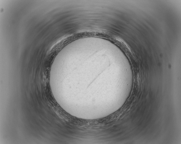 X0000086061064200704202055