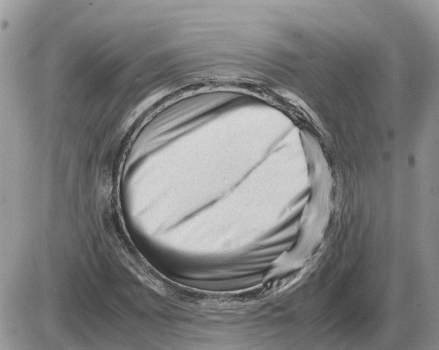 X0000086061065200704202055