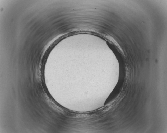 X0000086061068200704202055