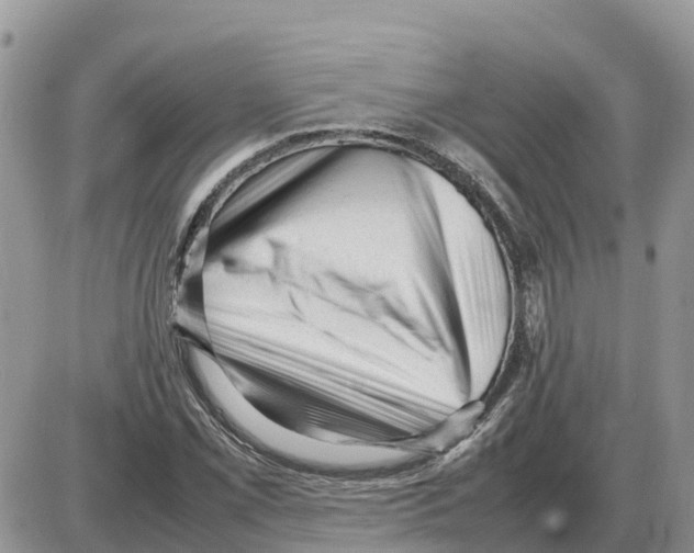 X0000086061069200704202055