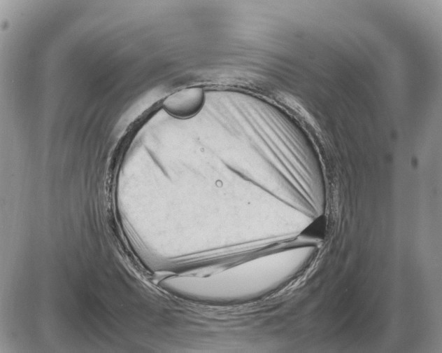 X0000086061071200704202055