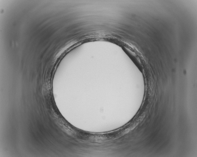 X0000086061073200704202055